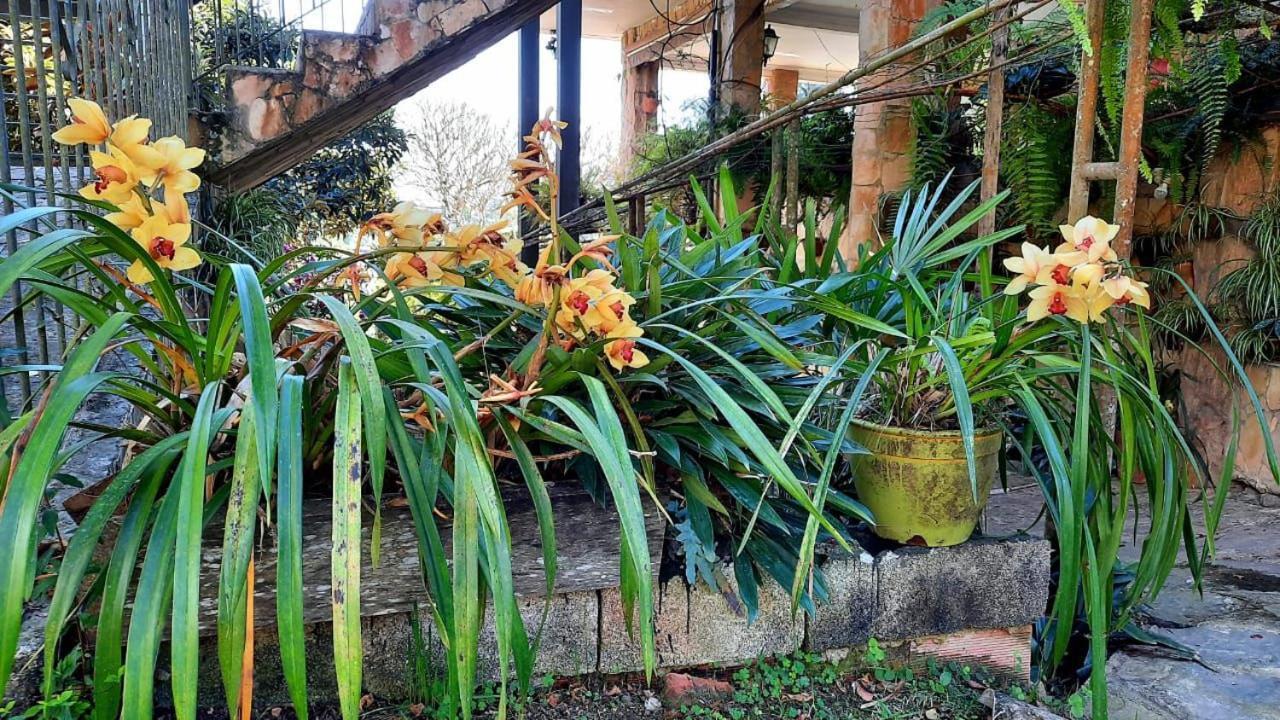 Pousada Canto Das Corujas São Roque Exterior foto